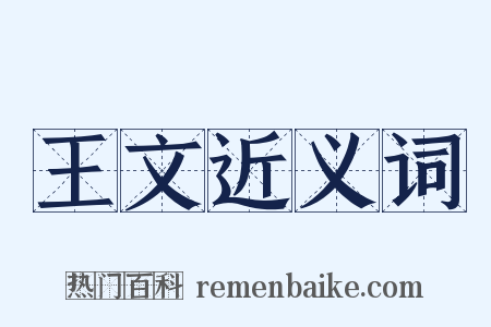 王文近义词是什么意思的图片